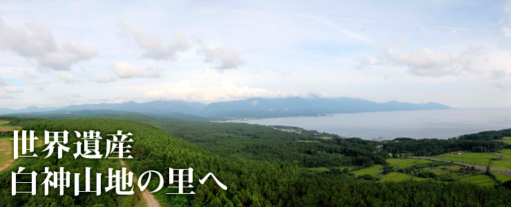 世界遺産　白神山地の里へ